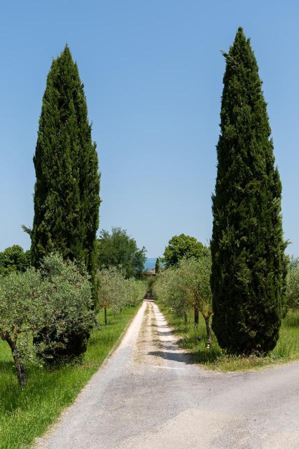 Villa Il Rossignolo 그라시나 외부 사진