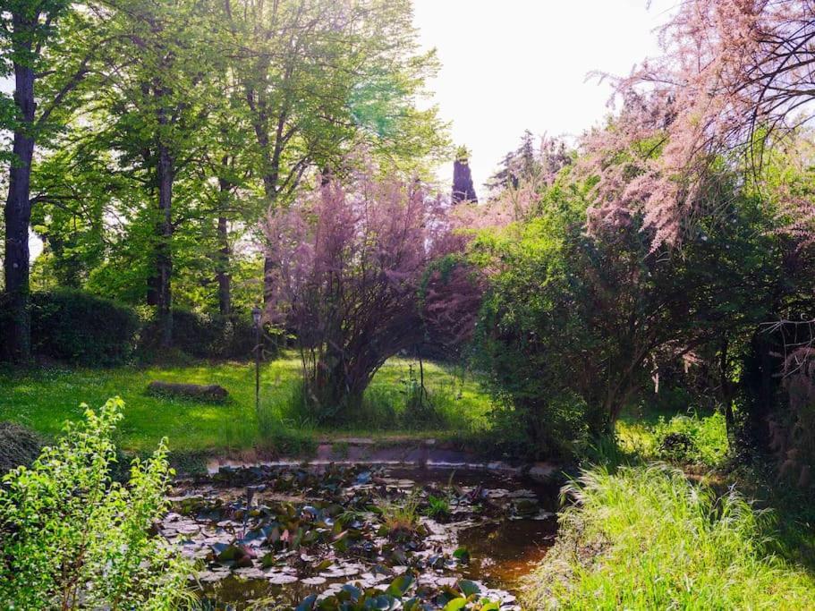 Villa Il Rossignolo 그라시나 외부 사진